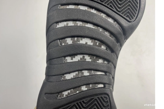 Black Dark Jordan CT8013-005 Air 12 Retro CT8013-005 Concord 0126